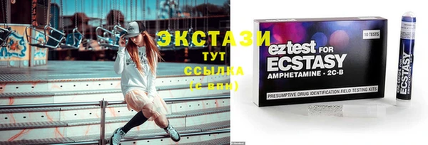 дживик Краснослободск