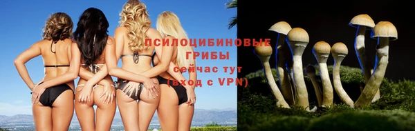 тгк Красноперекопск