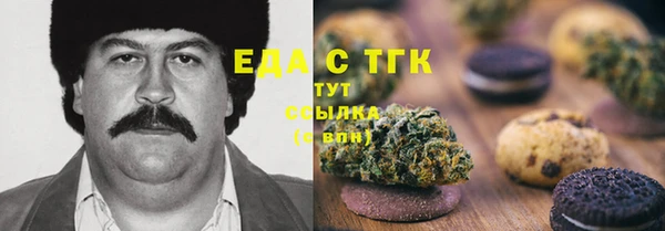 дживик Краснослободск
