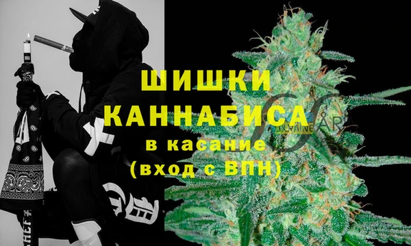 дживик Краснослободск