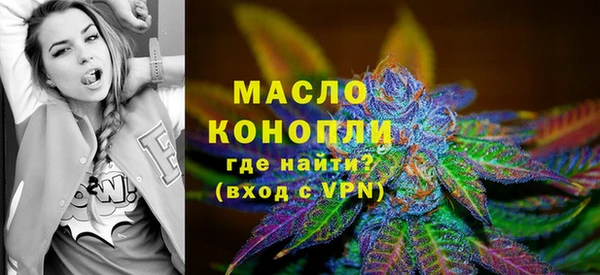 дживик Краснослободск