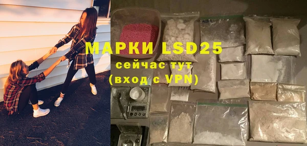 дживик Краснослободск