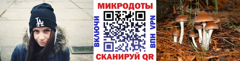 Псилоцибиновые грибы Psilocybine cubensis  Купить где  Усмань 
